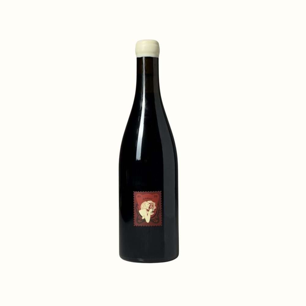 Foreign Friends 'Anne' Gamay 2025